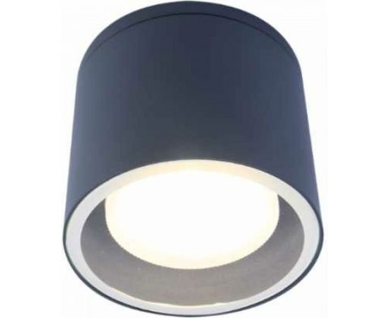 Настенно-потолочный светильник спот ЭРА WL40 GR GX53, серый, IP54 Б0054416 