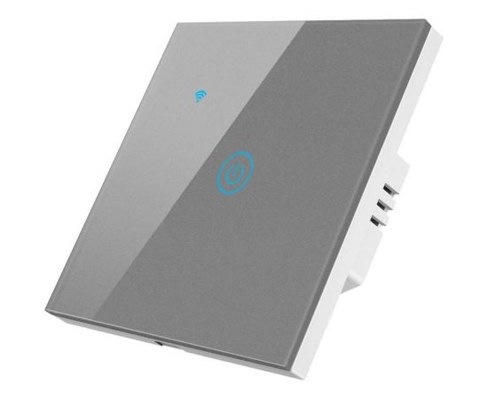 Сенсорный однокнопочный умный выключатель Roximo серый SWSEN01-1S 