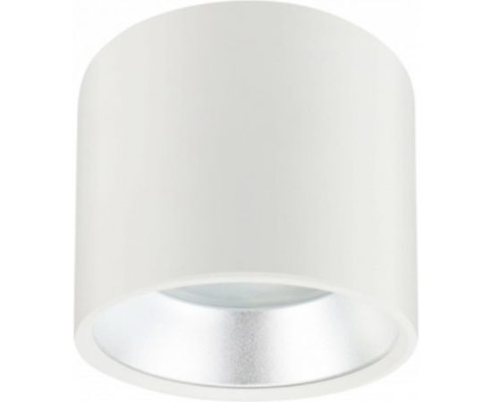 Накладной светильник ЭРА OL8 GX53 WH/SL Подсветка, под лампу Gx53, алюминий, цвет белый/серебро, 40/800 Б0048537 