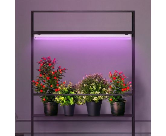 Светильник для растений ЭРА фитолампа светодиодная линейная LLED-05-T5-FITO-18W-W розового свечения 18 Вт, Б0028201 – изображение 13