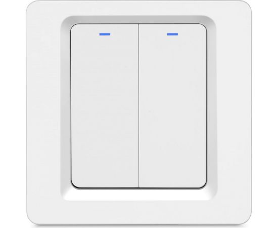 Умный двухкнопочный выключатель Roximo SWBTN01-2 – изображение 2