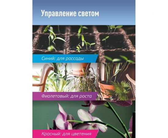 Настольная лампа для растений КОСМОС 2 светильника, 3 спектра излучения, 5В, 2А, KOC_DESKGX2105 – изображение 3