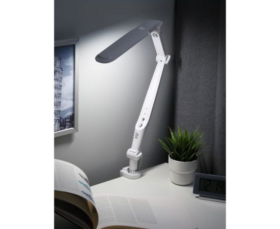 Настольный светодиодный светильник ЭРА NLED-496-12W-W на струбцине, белый Б0052766 – изображение 3