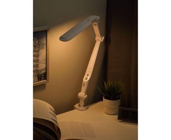 Настольный светодиодный светильник ЭРА NLED-496-12W-W на струбцине, белый Б0052766 – изображение 4
