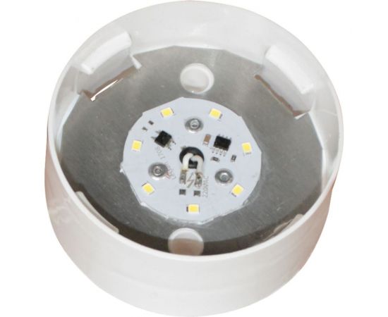 Светильник ЭЛЕТЕХ СПЕЦСВЕТ 03-007-401 534 настенный, без стекла, корпус прямой 1030480534 