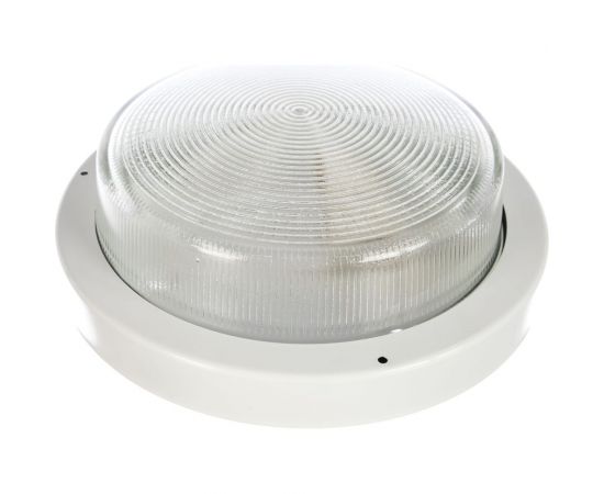 Светильник ЭЛЕТЕХ селена 2 нпп 03-100-002 ip65 корпус белый 1005500192 