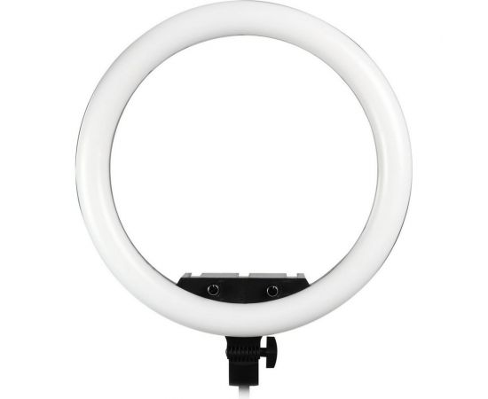 Кольцевая светодиодная лампа Smartbuy 46 см с держателем, пультом для профессиональной съемки SBL-TTL-18 