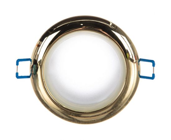 Влагозащищенный светильник MR16,12V/220V, 50W ЭРА WR1 GD C0043846 