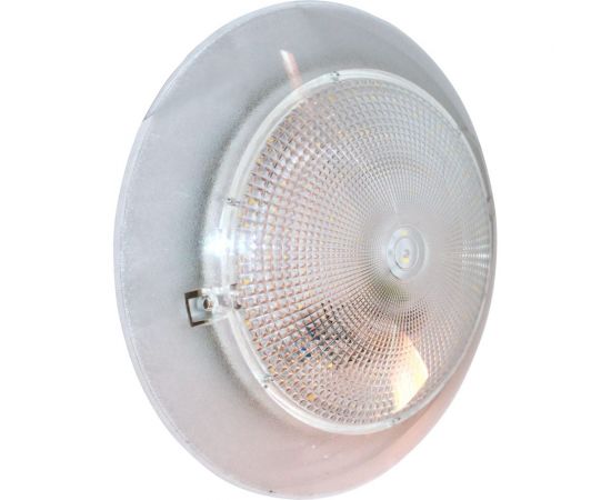 Настенно-потолочный светильник ЭЛЕТЕХ Домострой ДПО СПЕЦСВЕТ 03-012-401 220в 1030450386 