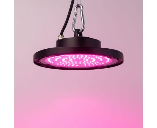 Светодиодный фитопрожектор для растений ЭРА FITO-50W-RB-LED-UFO красно-синего спектра 50 Вт, Б0053280 