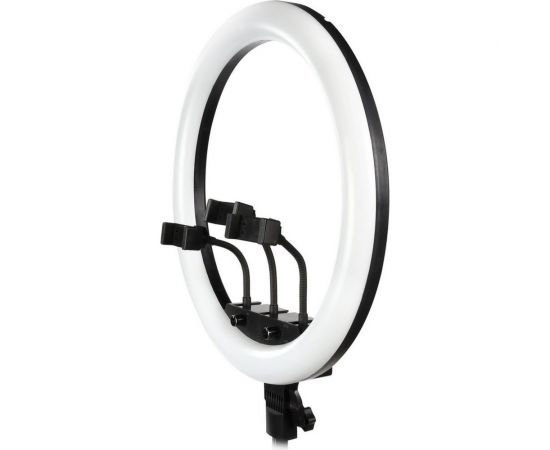 Кольцевая светодиодная лампа Smartbuy 46 см с держателем, пультом для профессиональной съемки SBL-TTL-18 – изображение 2