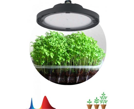 Светодиодный фитопрожектор для растений ЭРА FITO-50W-RB-LED-UFO красно-синего спектра 50 Вт, Б0053280 – изображение 4
