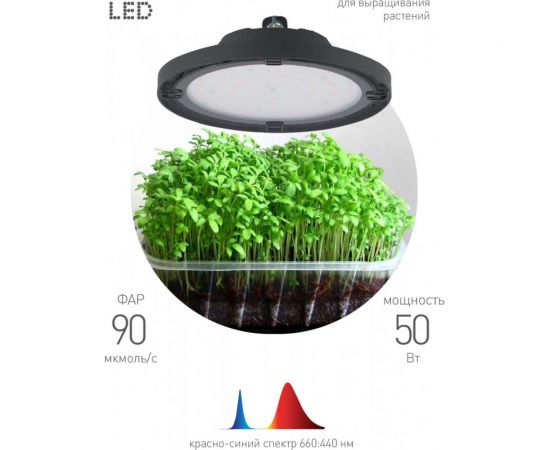 Светодиодный фитопрожектор для растений ЭРА FITO-50W-RB-LED-UFO красно-синего спектра 50 Вт, Б0053280 – изображение 5