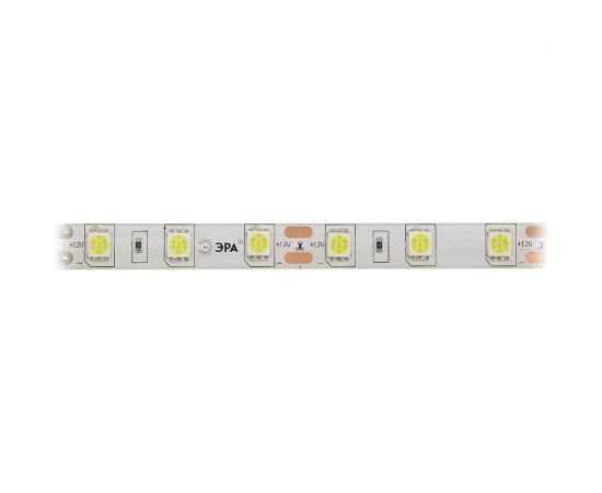 Светодиодная лента LS5050-60LED-IP65-W ЭРА 613931 C0043047 – изображение 5