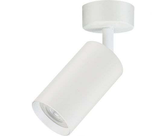 Накладной поворотный светильник truEnergy GU10 D55xH100мм IP20 белый/алюминий 21330 