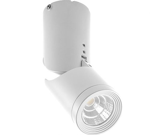 Светодиодный наклонный светильник FERON AL517 10W, 800Lm, 4000K, белый 29576 