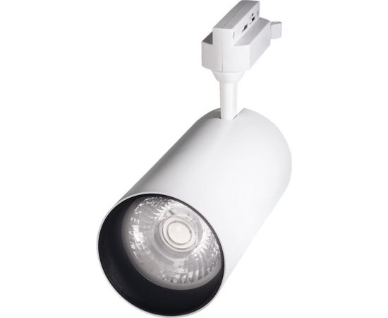 Светильник Jazzway PTR 0740 40w 3000K 24гр. WH белый IP40 5018662 