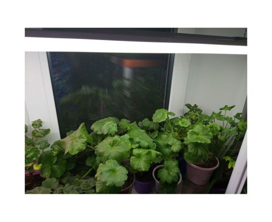 Светодиодный светильник IN HOME SPO-110 OPAL 18Вт 230В 6500К 1530Лм 600мм IP40 4690612032757 – изображение 2