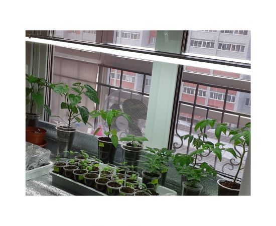 Светодиодный светильник IN HOME SPO-110 OPAL 18Вт 230В 6500К 1530Лм 600мм IP40 4690612032757 – изображение 3