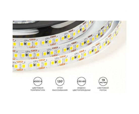 Светодиодная лента OGM 12В, 14,4Вт/м, smd2835, 180д/м, ip20, 19лм/чип, подложка 10мм, 5м, 4000к. / LSE-263 – изображение 4