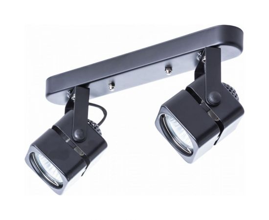 Потолочный светильник ARTE LAMP A1315PL-2BK 
