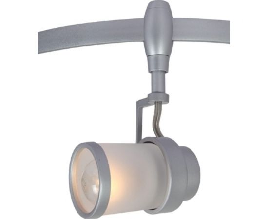 Потолочный светильник Arte Lamp A3056PL-1SI 