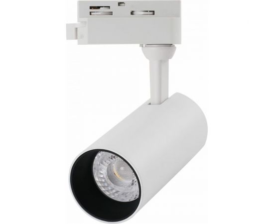 Трековый светильник Arte Lamp REGULUS A4568PL-1WH 