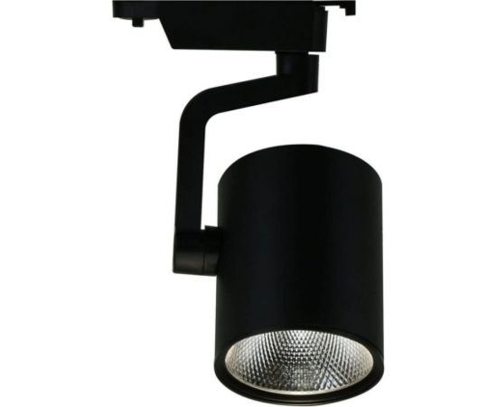 Потолочный светильник Arte Lamp A2321PL-1BK 