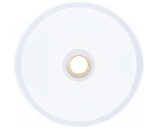 Потолочный светильник Arte Lamp A2517PL-2WH – изображение 2