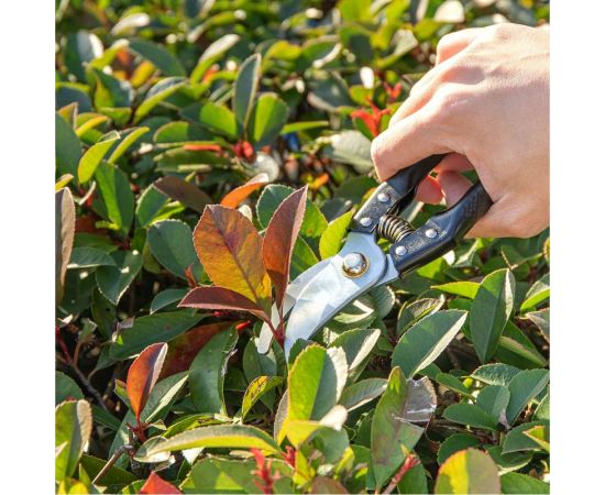 Секатор DELI DL580200 98491 – изображение 8