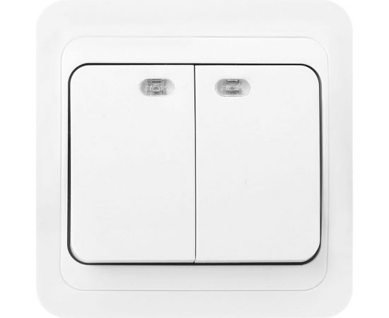 Выключатель Smartbuy 2-клавишный с индикатором 10А белый Марс SBE-02w-10-SW2-1 