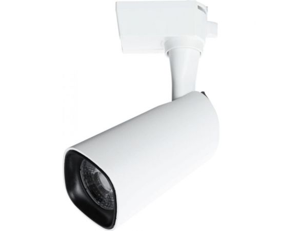 Потолочный светильник Arte Lamp A4562PL-1WH 