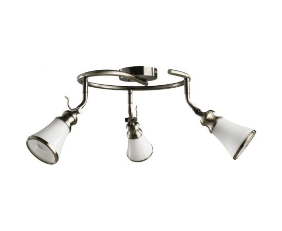 Потолочный светильник Arte Lamp A9231PL-3AB 