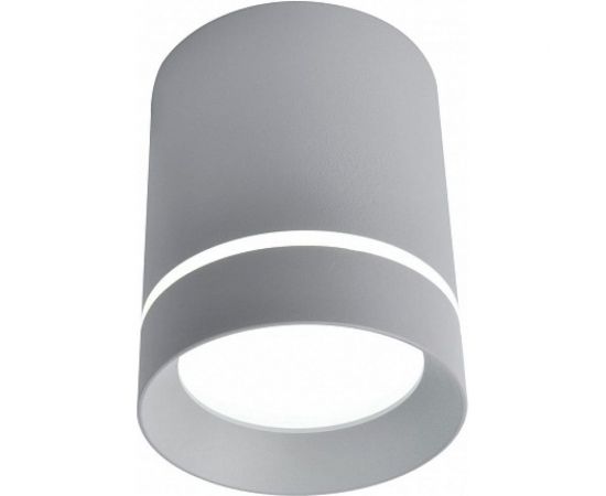 Потолочные светильники Arte Lamp A1909PL-1GY 