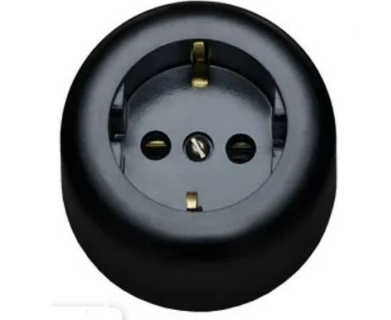 Электророзетка ООО Ливны-Электро РА 10-011 с заземляющим контактом, круглая, черная РА 1716 