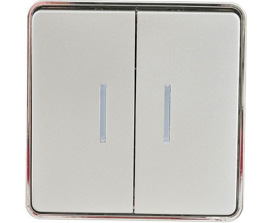 Двухклавишный выключатель с подсветкой WERKEL W5020106 Gallant серебряный a052770 