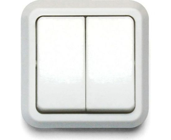 Выключатель ООО Ливны-Электро открытой установки А2-004 УХЛ 4 двухклавишный белый ВОП 16 