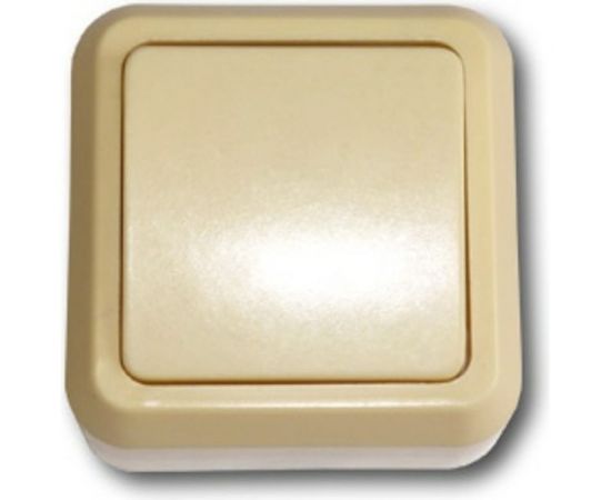 Одноклавишный выключатель ООО Ливны-Электро открытой установки А1-003 УХЛ 4 слоновая кость ВОП 13 