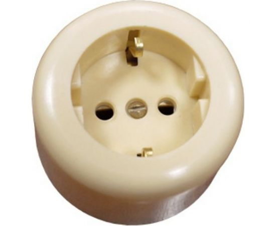 Электророзетка ООО Ливны-Электро РА 10-011 с заземляющим контактом, круглая,слоновая кость РА 1715 
