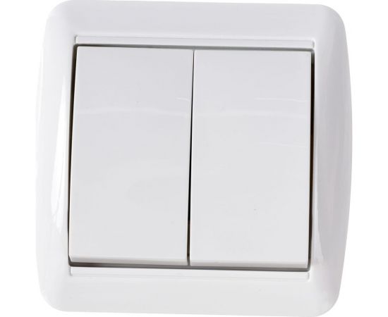 2-клавишный выключатель TDM открытой установки IP44 10А белый "Селигер" SQ1818-0002 