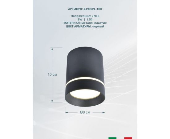 Потолочные светильники Arte Lamp A1909PL-1BK – изображение 2