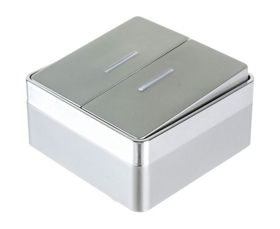 Двухклавишный выключатель с подсветкой WERKEL W5020106 Gallant серебряный a052770 – изображение 2