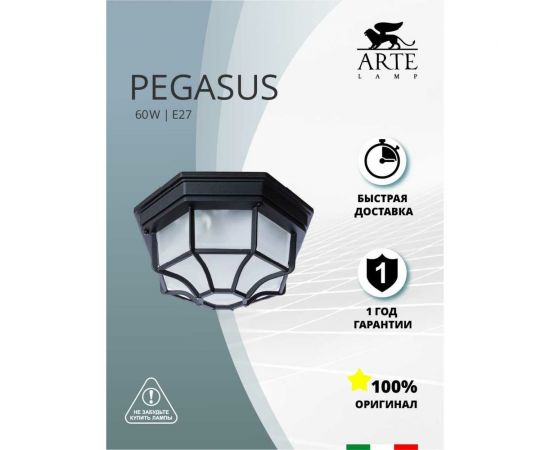 Потолочный светильник Arte Lamp A3100PL-1BK – изображение 2