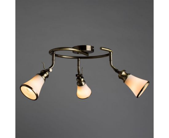 Потолочный светильник Arte Lamp A9231PL-3AB – изображение 2