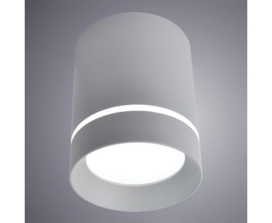 Потолочные светильники Arte Lamp A1909PL-1GY – изображение 2