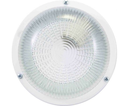 Светильник APEYRON Луна 1 прозрачный, белый, 60Вт НПП03-60-1301прозр – изображение 3