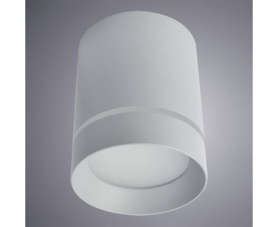 Потолочные светильники Arte Lamp A1909PL-1GY – изображение 3