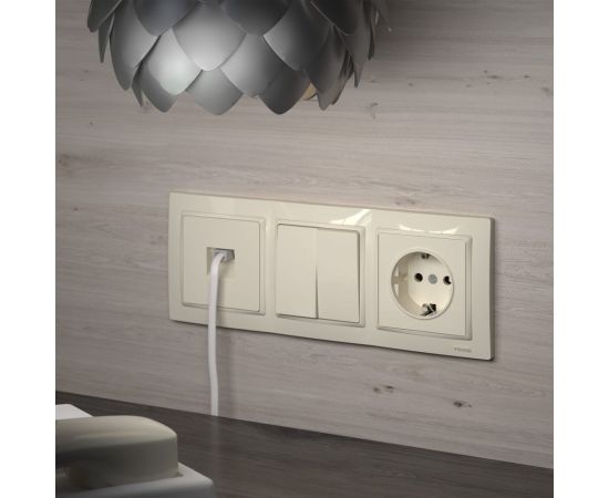 Двухклавишный выключатель WERKEL W1120003/ (слоновая кость) a051475 – изображение 3