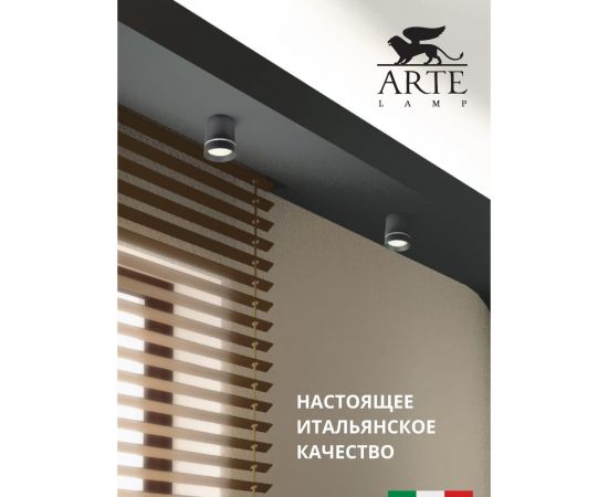 Потолочные светильники Arte Lamp A1909PL-1BK – изображение 3