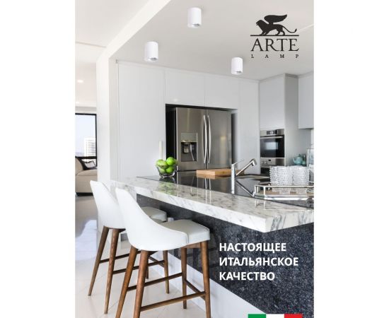 Потолочный светильник Arte Lamp TORRE A1532PL-1WH – изображение 4